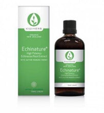 Load image into Gallery viewer, KIWIHERB Echinature 50ML